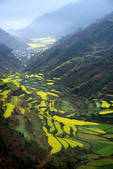 tkf002_108524