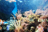 tkf002_109742