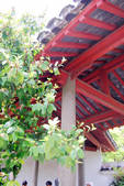 tkf002_109848
