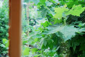 tkf002_109927