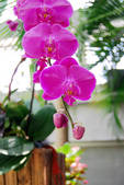 tkf002_110052