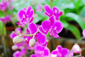 tkf002_110053