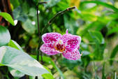 tkf002_110054