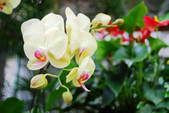 tkf002_110057