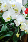 tkf002_110060