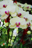 tkf002_110065