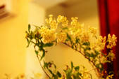 tkf002_110156
