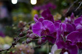tkf002_110729