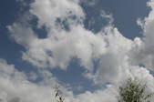 tkf002_110843