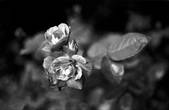 tkf002_111078