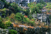 tkm002_110692