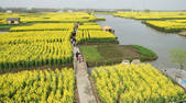 tkf002_111846