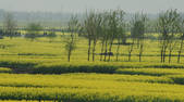 tkf002_111880
