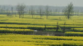 tkf002_111881