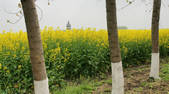 tkf002_111934