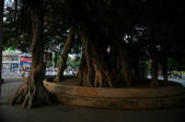 tkm002_117344