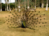 tkm002_120928