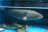 tkf002_122631