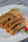 tkf002_123535