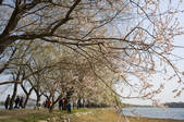 tkf005_2305590
