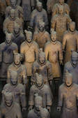 tkf005_2306453
