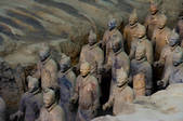 tkf005_2306459