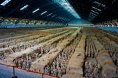 tkf005_2306461