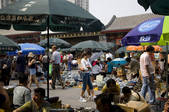 tkf005_2306811
