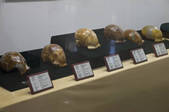 tkf005_2307148