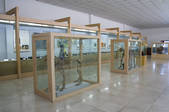 tkf005_2307150