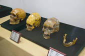 tkf005_2307152
