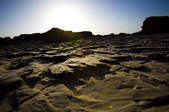 tkf005_2308514