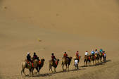 tkf005_2308564