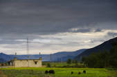 tkf005_2308702