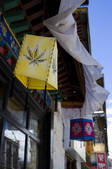 tkf005_2308803