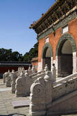 tkf005_2309206