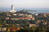 tkf005_2309298