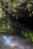 tkf005_2309941
