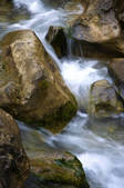 tkf005_2309943