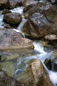 tkf005_2309944