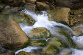 tkf005_2309945