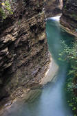 tkf005_2309946