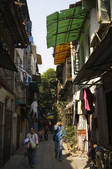 tkf005_2311377