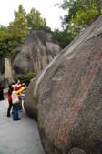 tkf005_2311749