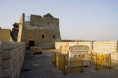 tkf005_2312044