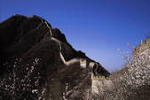 tkf005_2313536