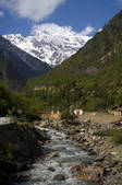 tkf005_2314530