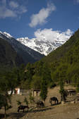 tkf005_2314531
