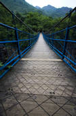 tkf005_2315232
