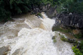 tkf005_2315242